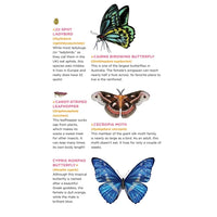 Workman Publishing - Fluttery, Friendly Tattoo Butterflies and Other Insects